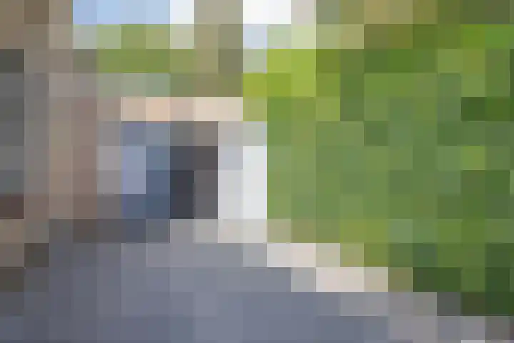 De Pol 10 Maarn thumbnail 7