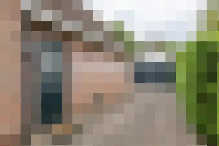 de Pol 2 A Peize thumbnail 10