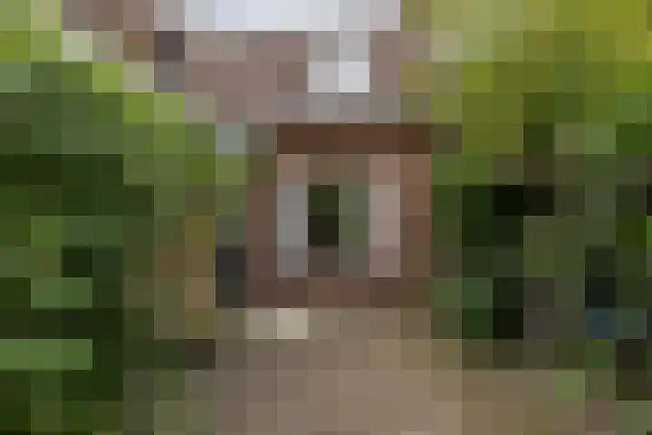 de Pol 2 A Peize thumbnail 11