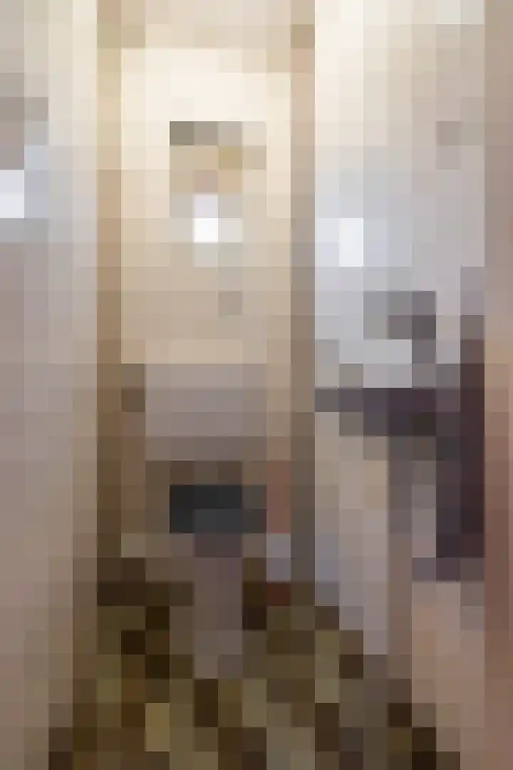 de Pol 2 A Peize thumbnail 14