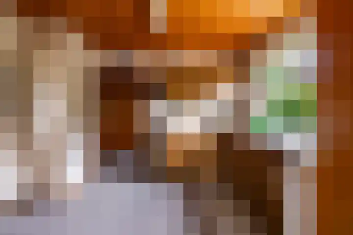 de Pol 2 A Peize thumbnail 16