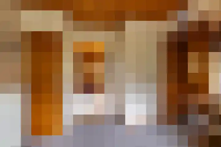 de Pol 2 A Peize thumbnail 18