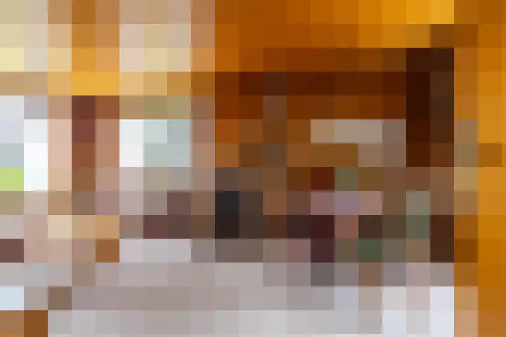 de Pol 2 A Peize thumbnail 19