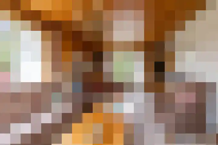 de Pol 2 A Peize thumbnail 21