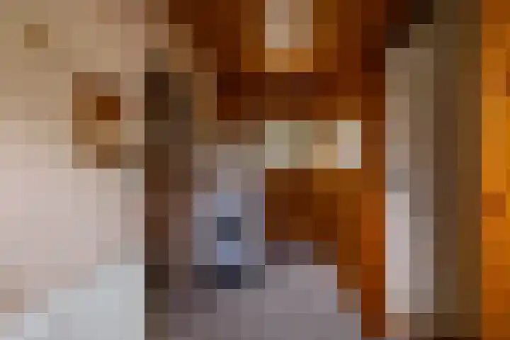 de Pol 2 A Peize thumbnail 25
