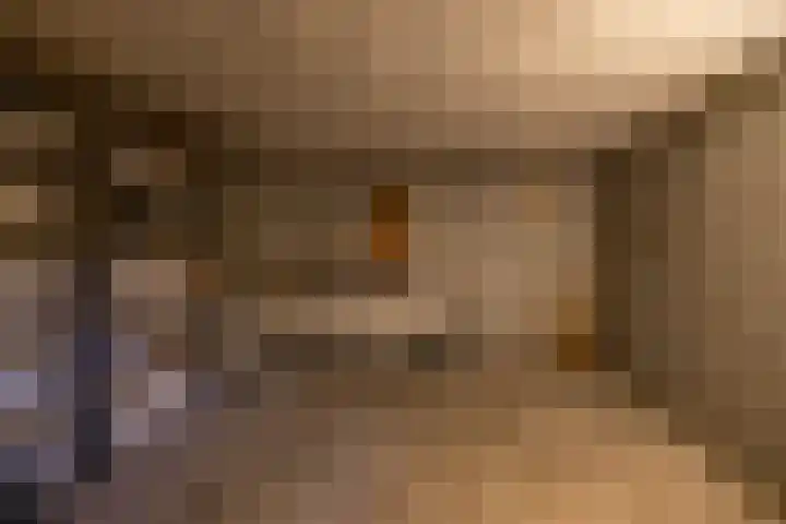 de Pol 2 A Peize thumbnail 26