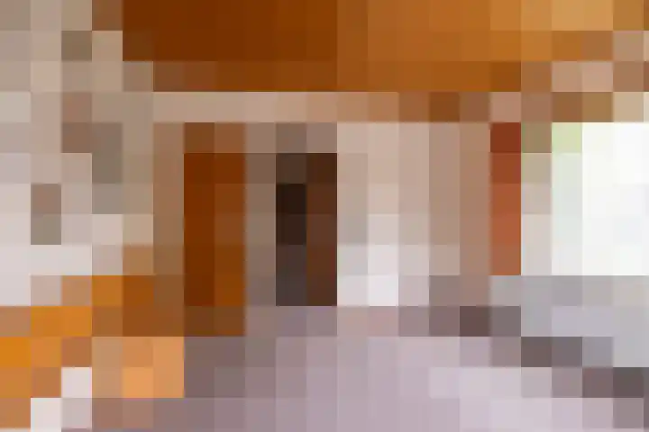 de Pol 2 A Peize thumbnail 30