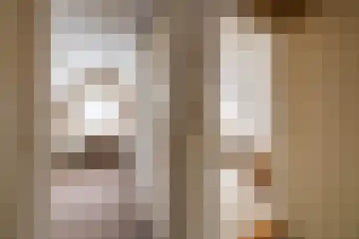 de Pol 2 A Peize thumbnail 37