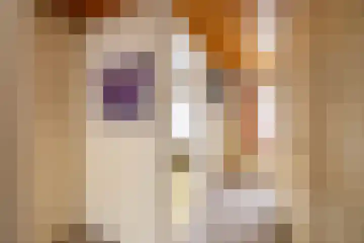 de Pol 2 A Peize thumbnail 39