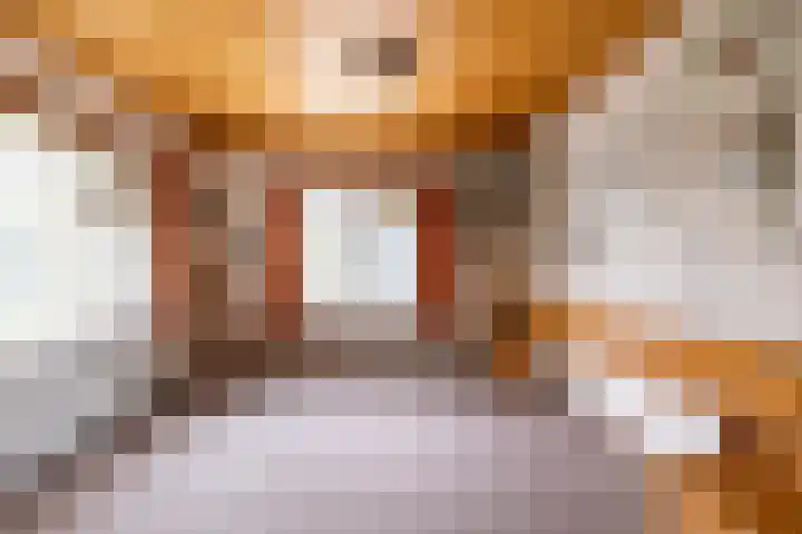 de Pol 2 A Peize thumbnail 4