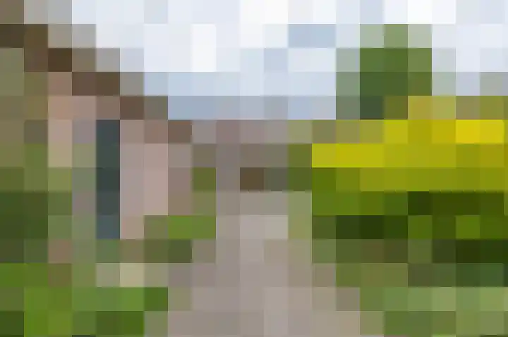 de Pol 2 A Peize thumbnail 42