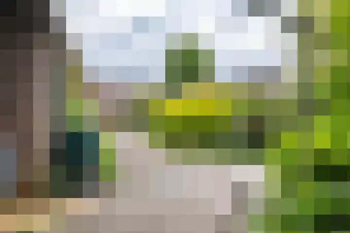 de Pol 2 A Peize thumbnail 44