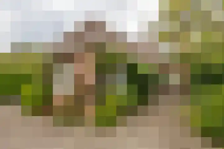 de Pol 2 A Peize thumbnail 45