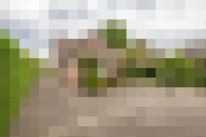 de Pol 2 A Peize thumbnail 46