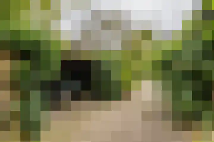 de Pol 2 A Peize thumbnail 47