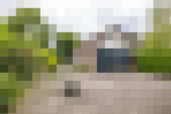 de Pol 2 A Peize thumbnail 48