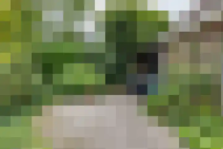 de Pol 2 A Peize thumbnail 49