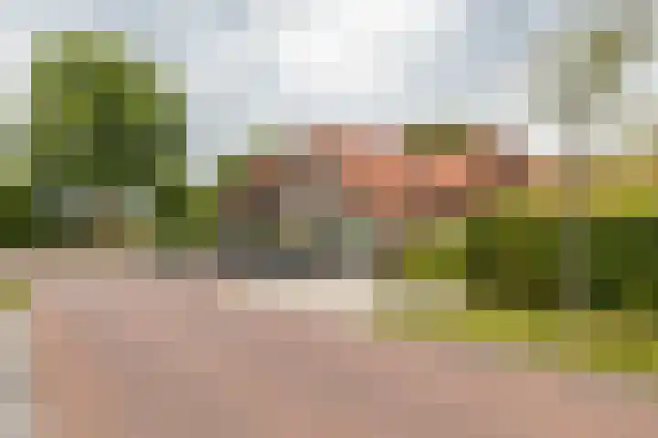 de Pol 2 A Peize thumbnail 6
