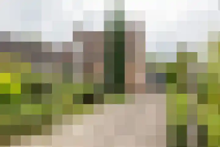 de Pol 2 A Peize thumbnail 8