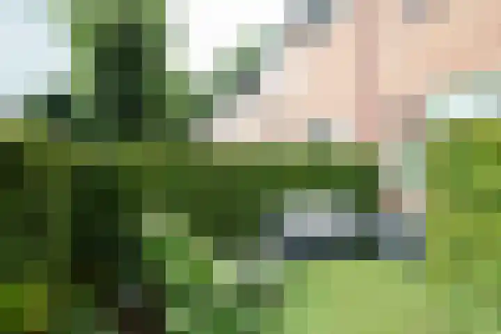 De Pol 2 Hasselt thumbnail 11
