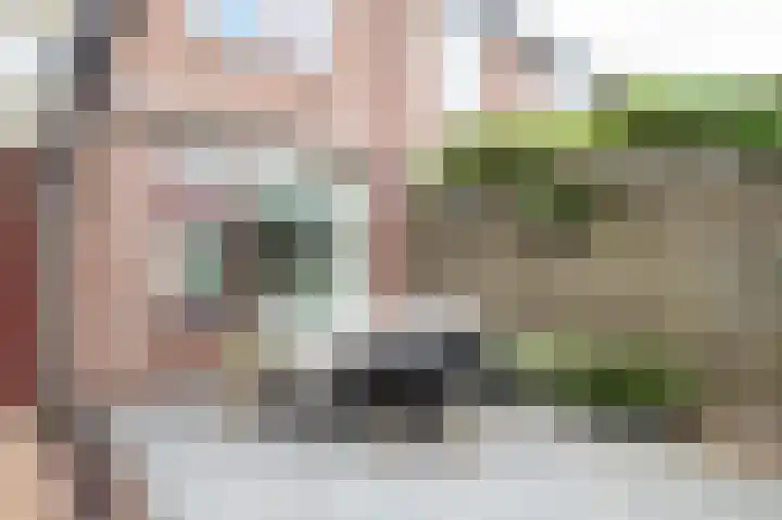 De Pol 2 Hasselt thumbnail 22