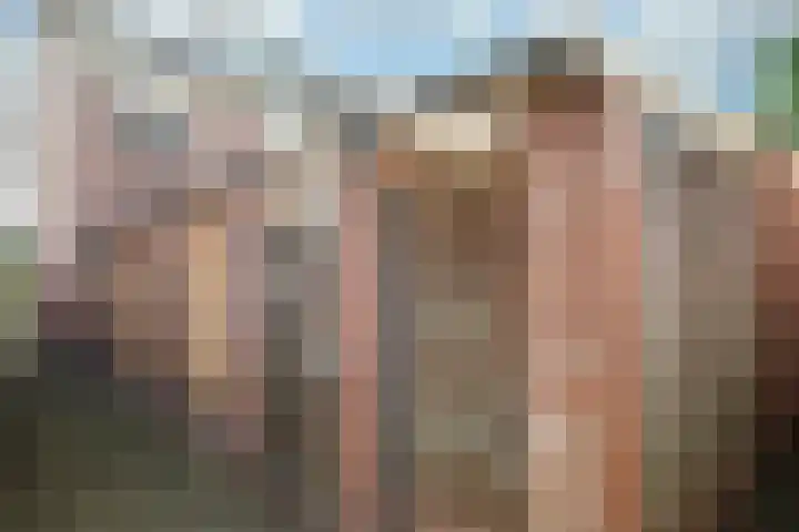 De Pol 2 Hasselt thumbnail 27