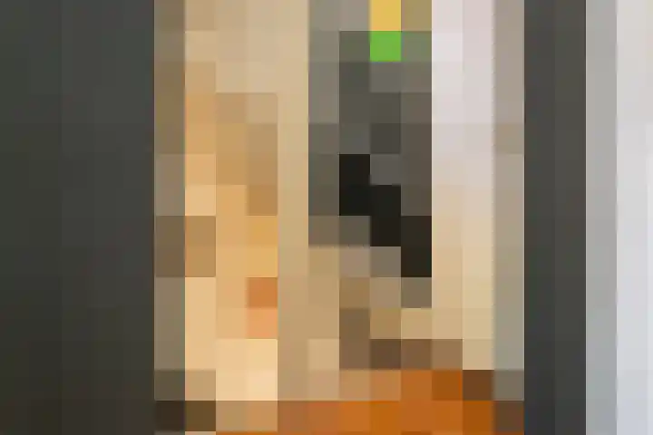 De Pol 2 Hasselt thumbnail 38