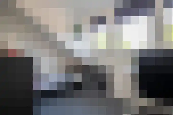 De Pol 2 Hasselt thumbnail 42
