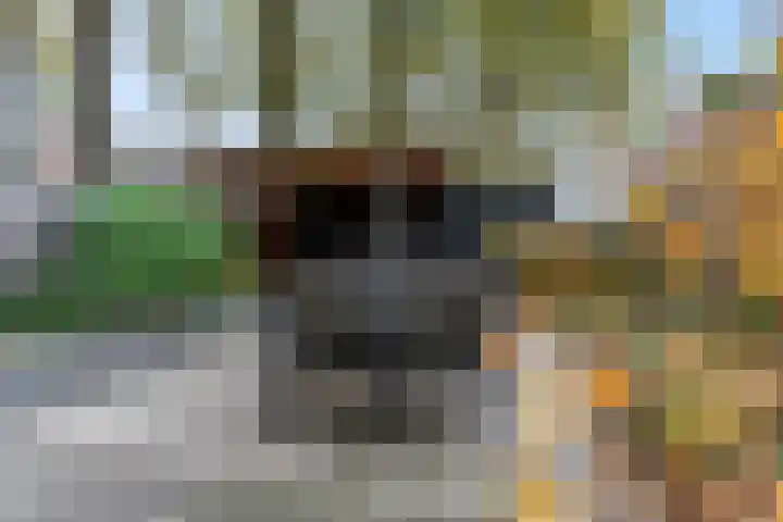 De Pol 2 Hasselt thumbnail 44