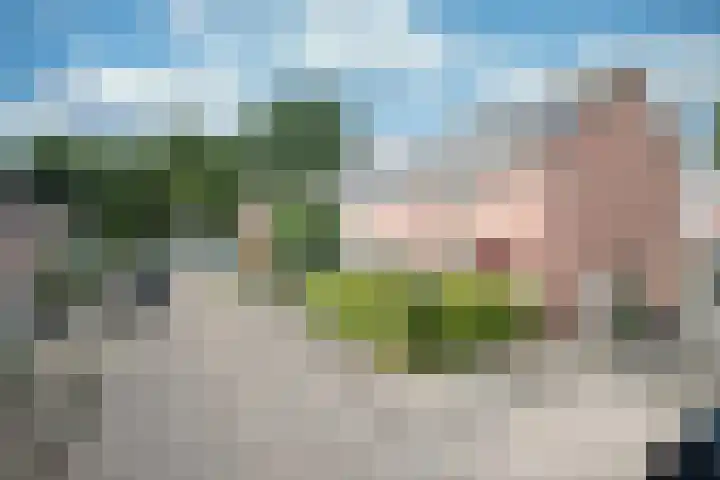 De Pol 2 Hasselt thumbnail 9