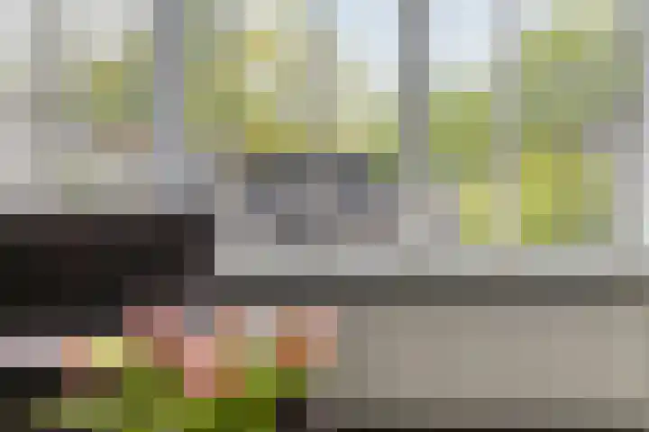 De Pol 23 Doesburg thumbnail 14