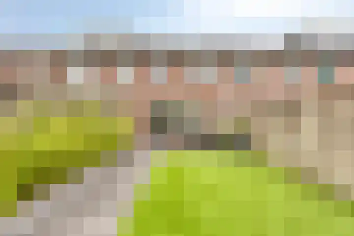 De Pol 23 Doesburg thumbnail 36