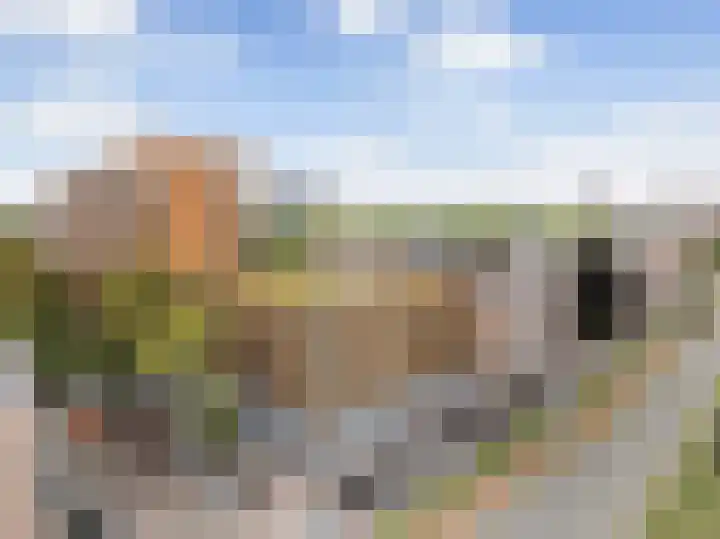 De Pol 23 Doesburg thumbnail 39
