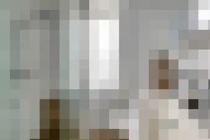 De Pol 23 Doesburg thumbnail 4