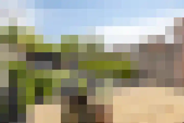 De Pol 23 Doesburg thumbnail 5