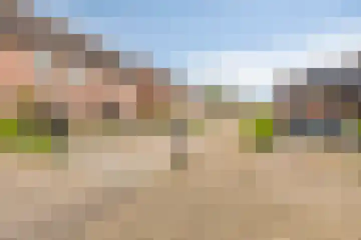 De Pol 23 Doesburg thumbnail 6