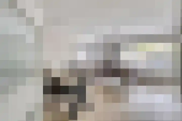 De Pol 23 Doesburg thumbnail 9