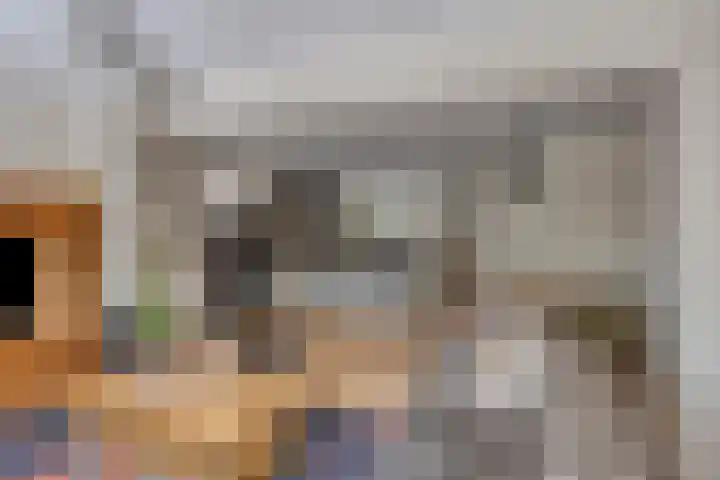 De Pol 25 Doesburg thumbnail 10