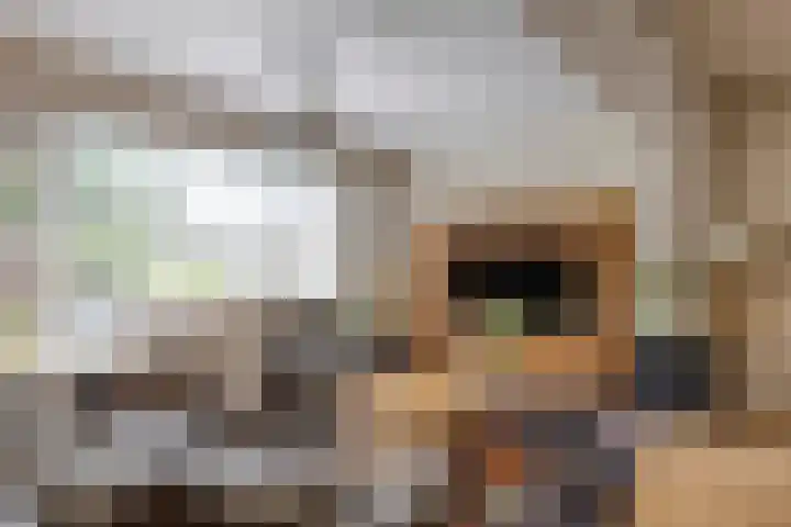 De Pol 25 Doesburg thumbnail 12