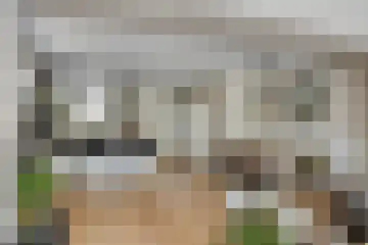 De Pol 25 Doesburg thumbnail 13