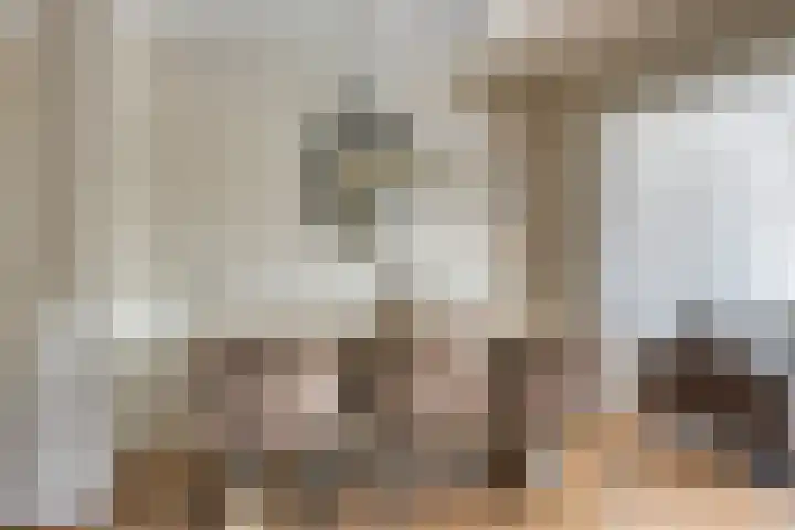 De Pol 25 Doesburg thumbnail 14