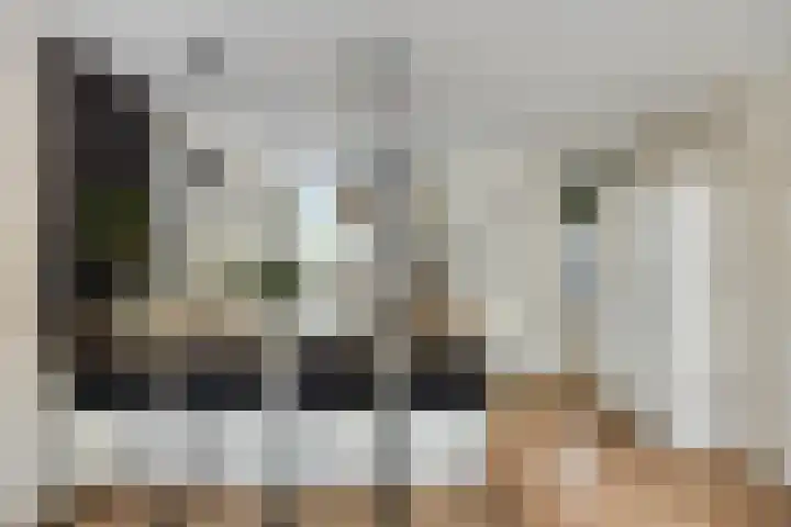 De Pol 25 Doesburg thumbnail 16