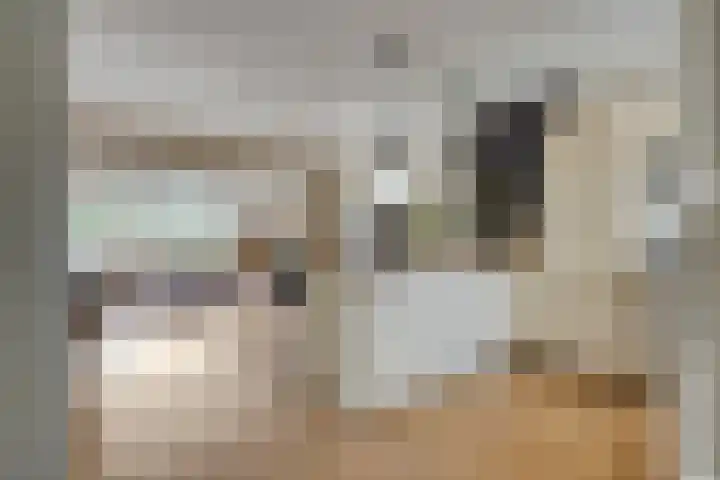 De Pol 25 Doesburg thumbnail 18