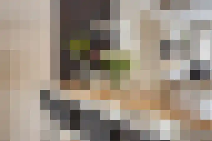 De Pol 25 Doesburg thumbnail 19
