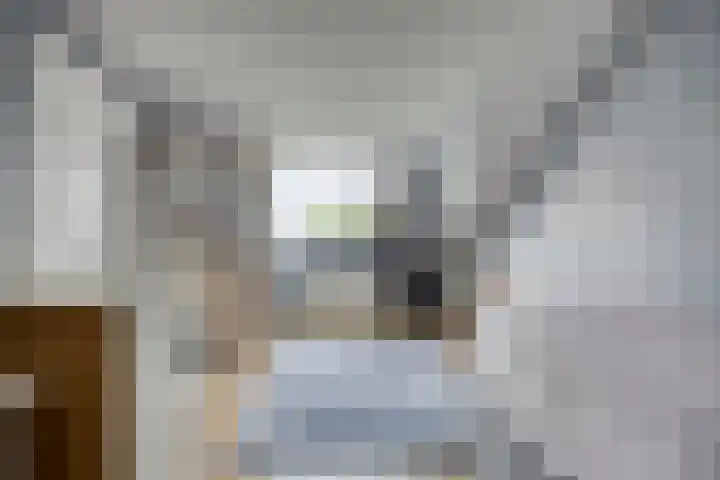 De Pol 25 Doesburg thumbnail 29