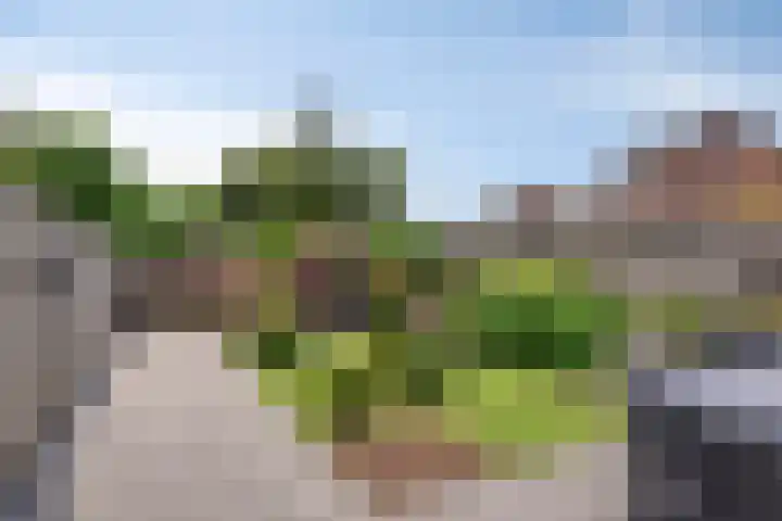 De Pol 25 Doesburg thumbnail 31