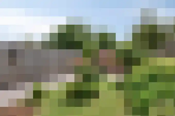 De Pol 25 Doesburg thumbnail 32