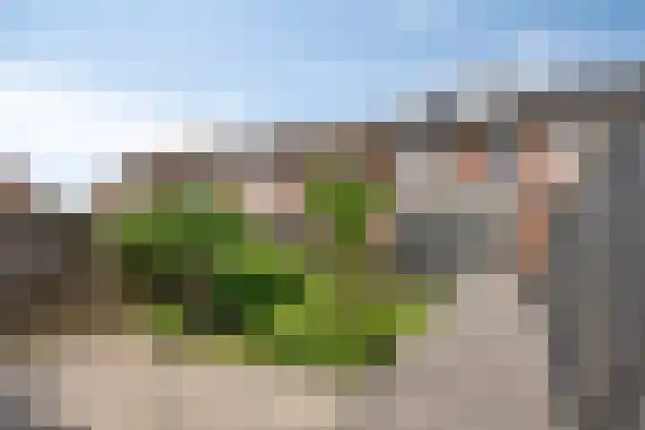 De Pol 25 Doesburg thumbnail 34