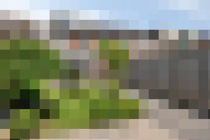 De Pol 25 Doesburg thumbnail 35