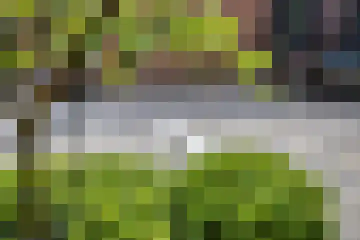 De Pol 25 Doesburg thumbnail 36